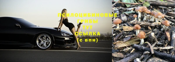 ALPHA PVP Покачи