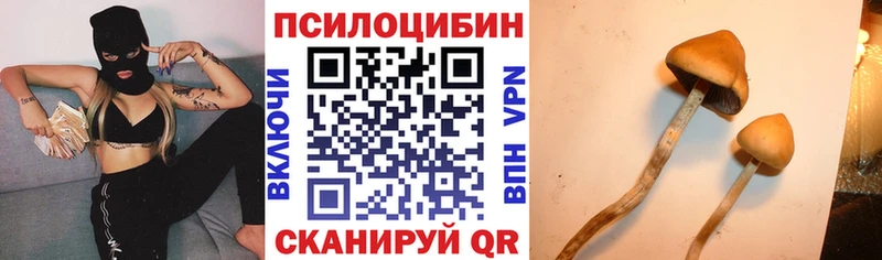 Купить где Ржев Псилоцибиновые грибы прущие грибы